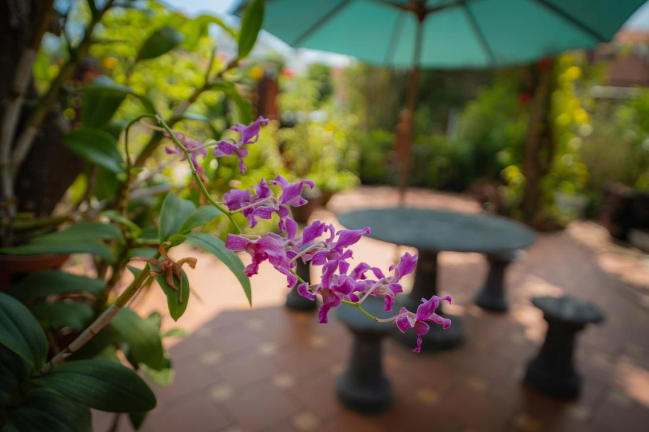Strawberry Garden Homestay Hoi An Bagian luar foto